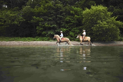 ar9utCjVBm7UpmEKW0ge.jpg?w=940&h=940