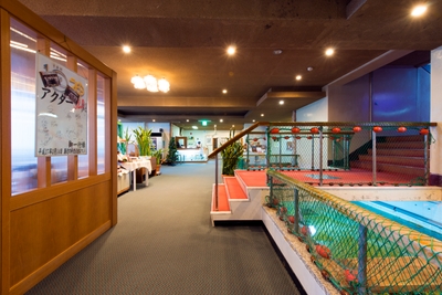 arMWnMyjz3DnxgAqJqCa.jpg?w=940&h=940