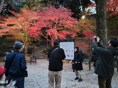 arNYctqqnptbKq31LYfZ.jpg?w=940&h=940