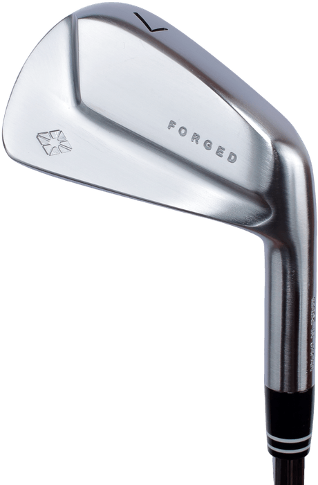 広田ゴルフ 軟鉄鍛造 フォージドコンボアイアン ミドルアイアン ショートアイアン サテン仕上げ(1)