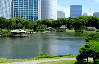 asSvMBnidTSatxXG5n7F.png?w=940&h=940