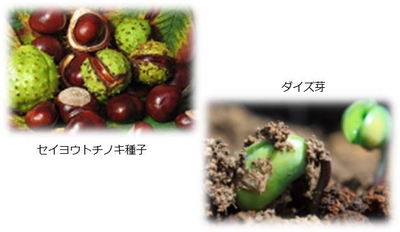 aselOviGHdpHRXdERklu.jpg?w=940&h=940