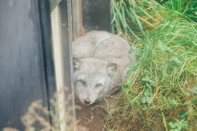 auhExydbGlb65cy57Aaq.jpg?w=940&h=940