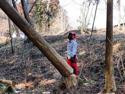 avLPTzXxBFI796DH6MDV.jpeg?w=940&h=940