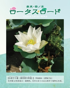 aw64h5CevIf9IAI7q1Tf.jpg?w=940&h=940