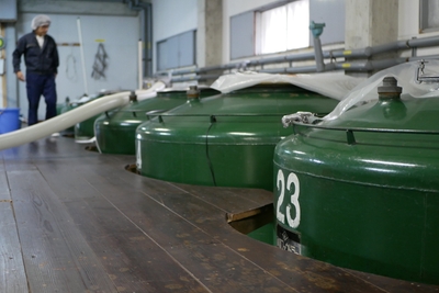 awabWViqcXTcPjLYHUsE.jpg?w=940&h=940