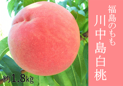 axgPegYfl3TWGeyP2jDU.png?w=940&h=940