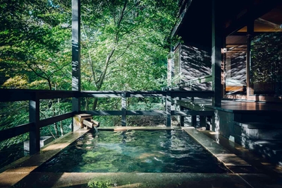 ayLDPWc7a8E84psNGfqq.jpg?w=940&h=940