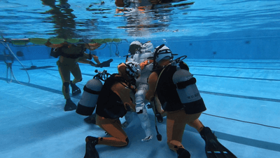 ayfzQjLs7vEkgCii99BI.png?w=940&h=940