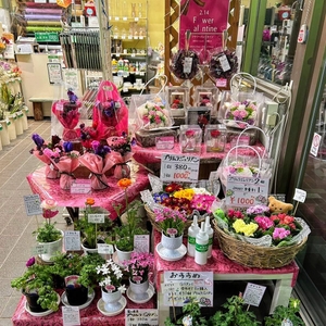 ayyRxUcG7NaIMcFIKBMU.jpg?w=940&h=940