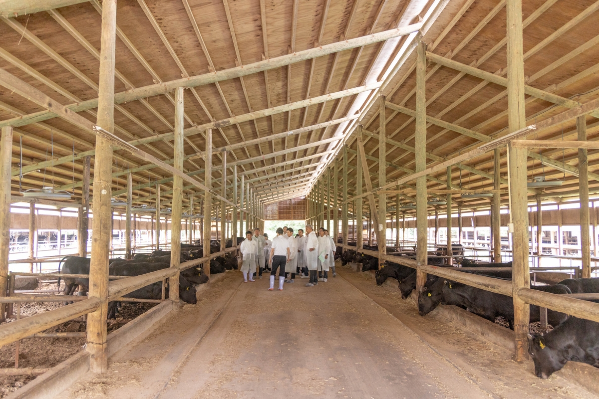 蔵王山麓でオリジナルブランド「蔵王牛」を育てる蔵王高原牧場を訪ねました【ソト活#9】|【宮城県・温泉リゾート一の坊】