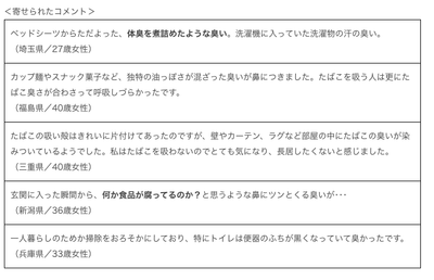 azjY8Ic66JtEbeAJZY3q.png?w=940&h=940