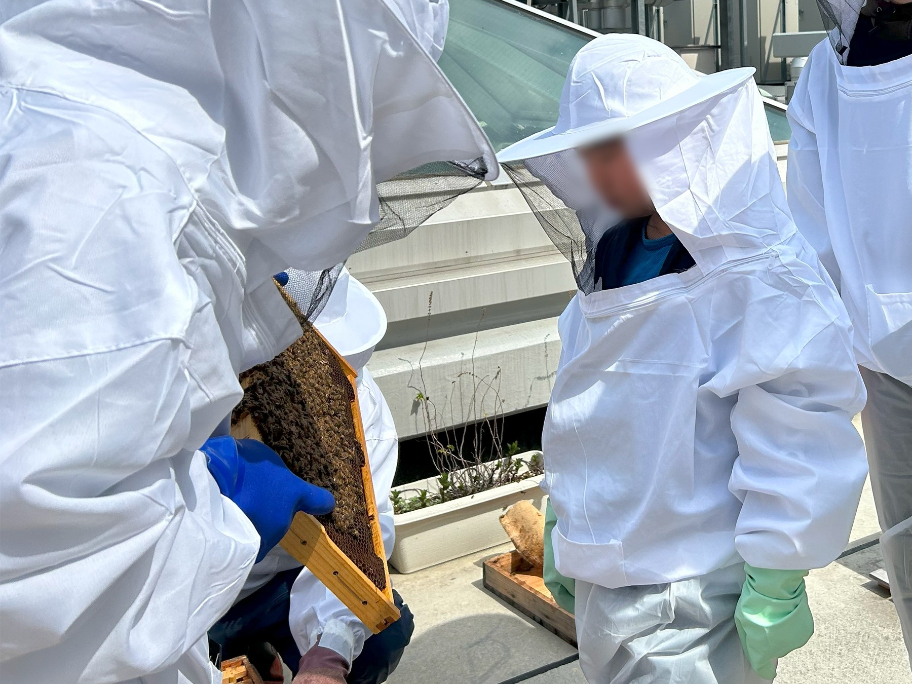 巣板を見ながら説明を聞く