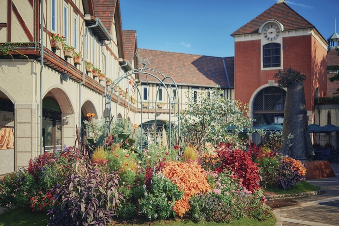 ウェルカムガーデン 秋