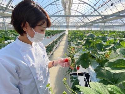 b0SOLEZmZLXAy1Um5UoG.jpg?w=940&h=940