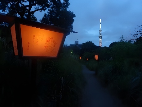 絵行灯点灯(昨年の様子)