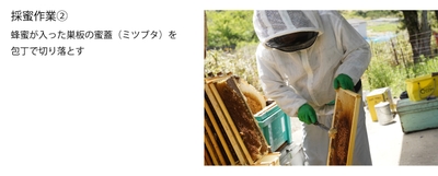 b2UVSwCIVh2niC4amFFV.jpg?w=940&h=940