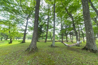 b2VW4ElTH01gULuvU0SG.jpg?w=940&h=940