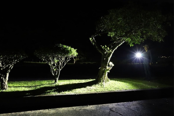 ミニサイズでトップクラスの明るさ