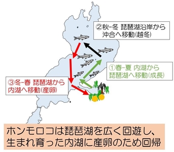 b5m240wYKdLFTjFvKVfz.jpg?w=940&h=940