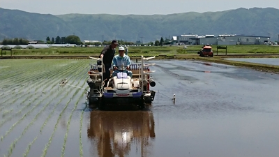 b6HN23yVS0v8ZwYaecSI.jpg?w=940&h=940