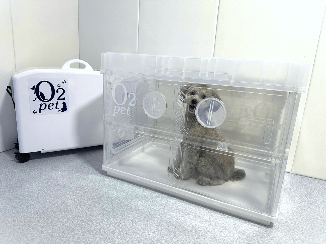 O₂ pet オーツーペット 酸素ケージ 楽天市場】オーツーペット ペット 酸素室 酸素濃縮器 専用ケージ