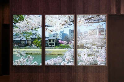 b7heTAhYFYP95raZDPyv.jpg?w=940&h=940