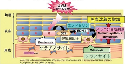 b8AcJPMqTFY7O6eHm8KX.jpg?w=940&h=940