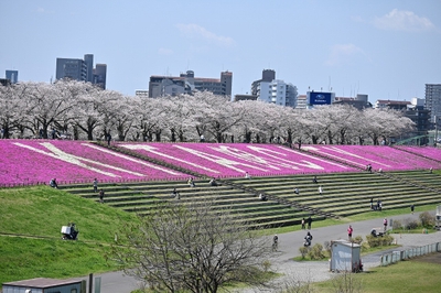 新荒川大橋からの景観（4月3日撮影）