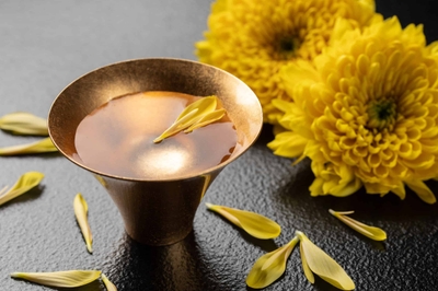 b8bsnHp2k3t60QtlvgL5.jpg?w=940&h=940