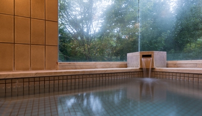 b9MAuK6kb43WMe8xrLNF.jpg?w=940&h=940