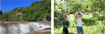 b9ixR1NaFGSLMOxU074S.png?w=940&h=940