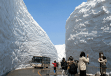 bACep12dV9HPn7Kx3pew.png?w=940&h=940