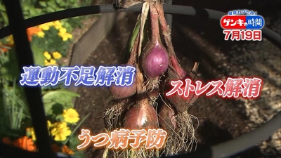 bAZeKUEG9ZBNMC60h0QC.jpg?w=940&h=940