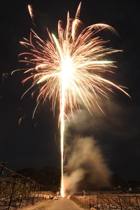 bAcLuWspyxAT9oklepfz.jpg?w=940&h=940