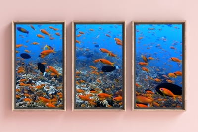 bBuKi4fFJykkEkd09qoc.jpg?w=940&h=940