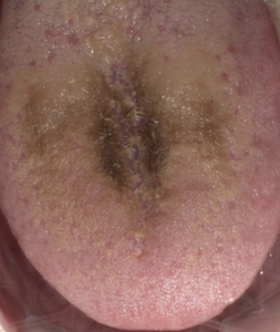 bCELb58zUTFsgYsMC6AM.jpeg?w=940&h=940