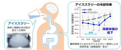 図6 アイススラリーによる身体内部からの冷却イメージ