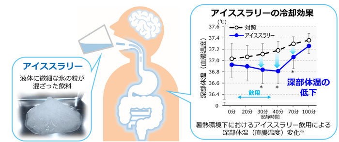 図6 アイススラリーによる身体内部からの冷却イメージ