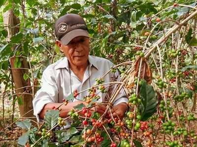 bE2LE2o4xKpA5bbngkGH.jpg?w=940&h=940