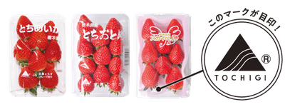 bFXQbDOFnBto6iPfOGX2.png?w=940&h=940