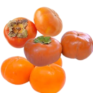 bFdzTidf3nTJfIyEhtNa.jpg?w=940&h=940