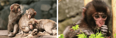 bGnyCLSzefNLq614rLBf.png?w=940&h=940