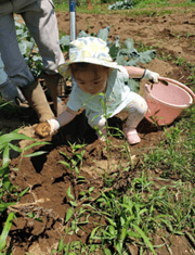 bGpo1du1nzTUL0McF1k1.png?w=940&h=940