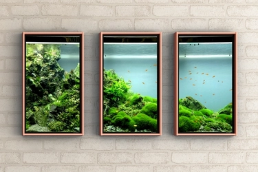 サンゴや色鮮やかな魚たちが泳ぐアクアリウムの世界を、窓型スマートディスプレイAtmoph Window 2に追加。チャームが、3メートル水槽で独自に生み出す水生植物たちの小宇宙を、お部屋で楽しめます。