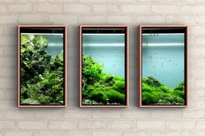 bIwvmDOI3WAkmI2DwtPy.jpg?w=940&h=940