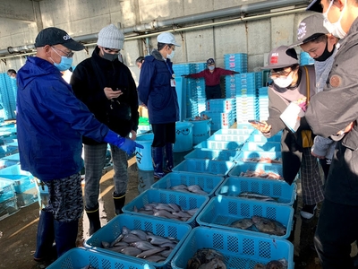 bL8SKJwOYtGwrjLcpOTt.jpg?w=940&h=940