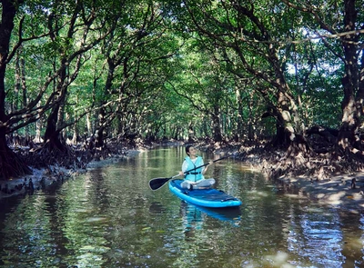 bLB7unm6AJh5f8NuLqSS.jpg?w=940&h=940