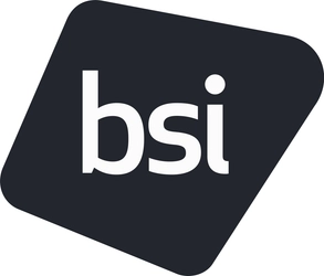 BSI Professional Services Japan 株式会社