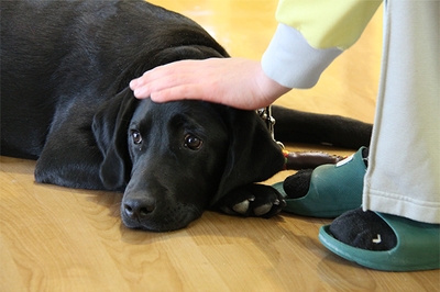 bLh640egnDMH8U1nA6lD.jpg?w=940&h=940